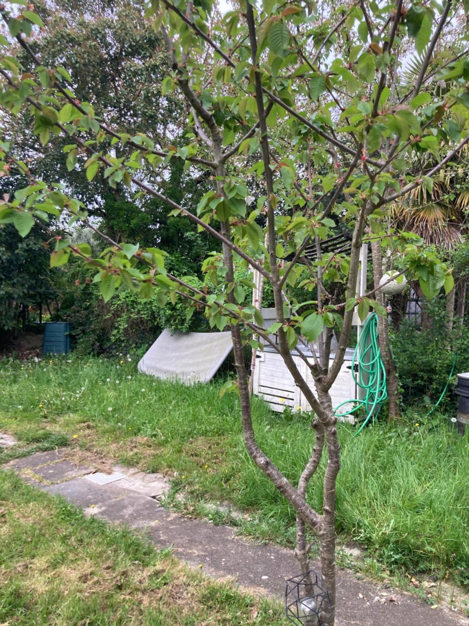 Maison De Campagne A La Ville Villeneuve-sur-Lot Eksteriør bilde